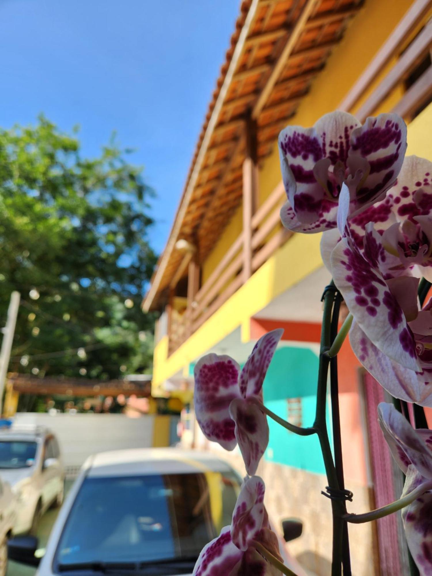 Pousada Morena Raiz Ubatuba Kültér fotó